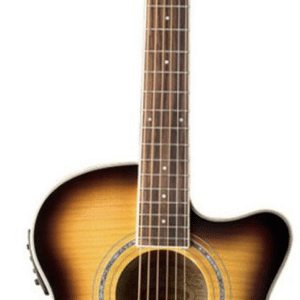 Washburn EA15AT-A