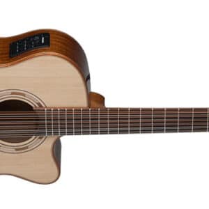 Washburn G15 12 String